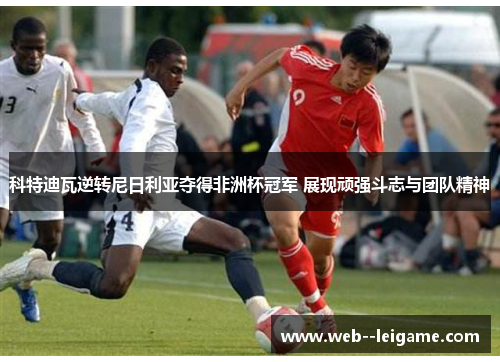 科特迪瓦逆转尼日利亚夺得非洲杯冠军 展现顽强斗志与团队精神